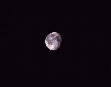 March nature skyscape
