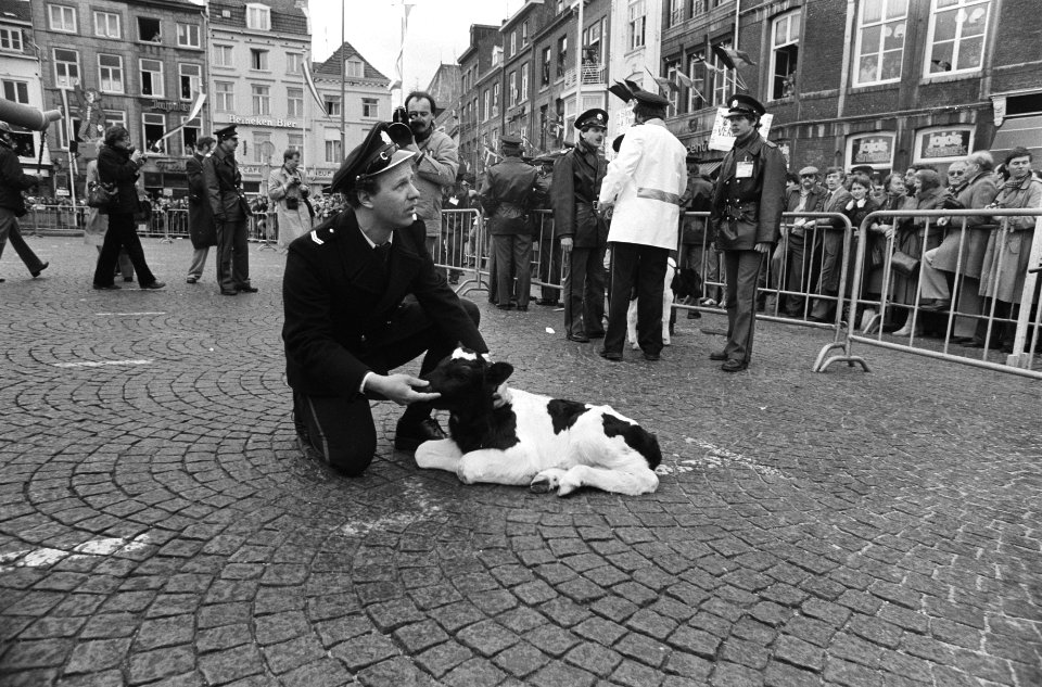 Europese Raad in Maastricht, agenten met een kalf dat over de afzetting is gegooid, Bestanddeelnr 931-3895