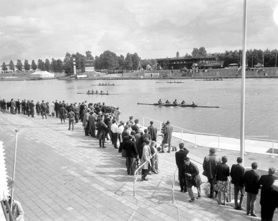 Europese roeikampioenschappen dames Bosbaan, vier met stuurman finish, Bestanddeelnr 916-7132