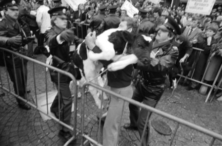 Europese Raad in Maastricht, politie probeerde te verhinderen dat demonstrerende Waalse boeren kalveren binen de afzetting gooiden, Bestanddeelnr 931-3889 photo