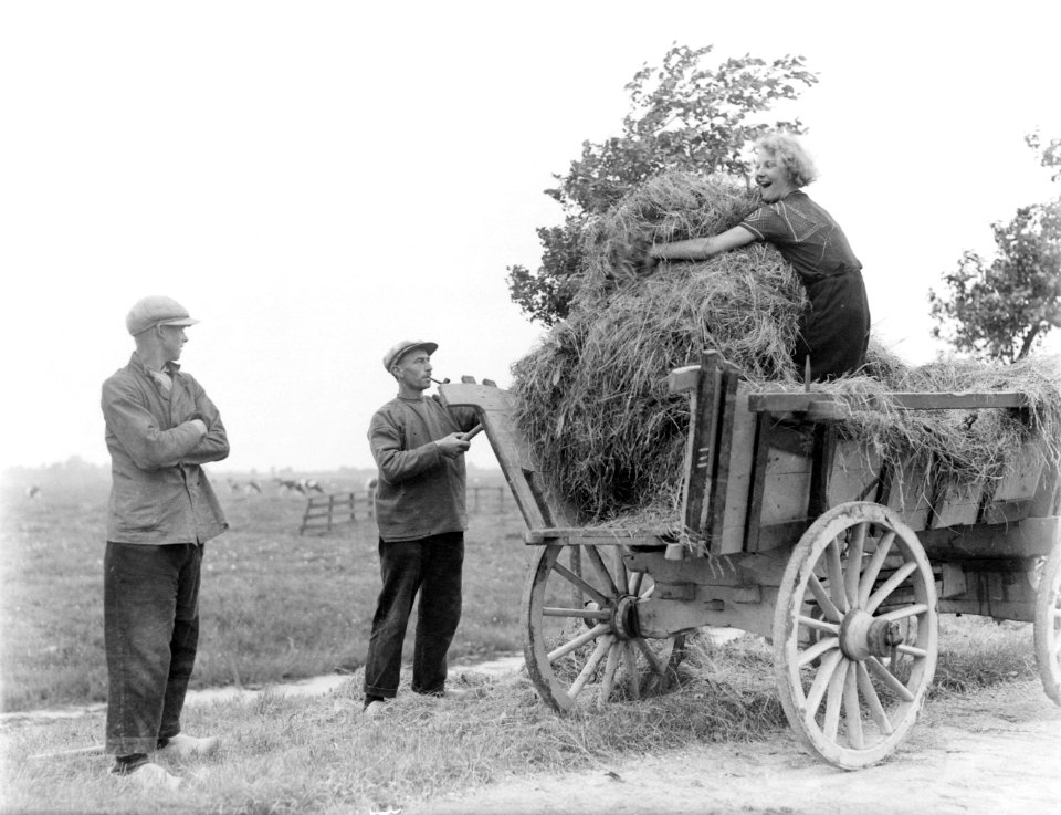 Eva Waldschmidt op een hooiwagen, Bestanddeelnr 252-0539