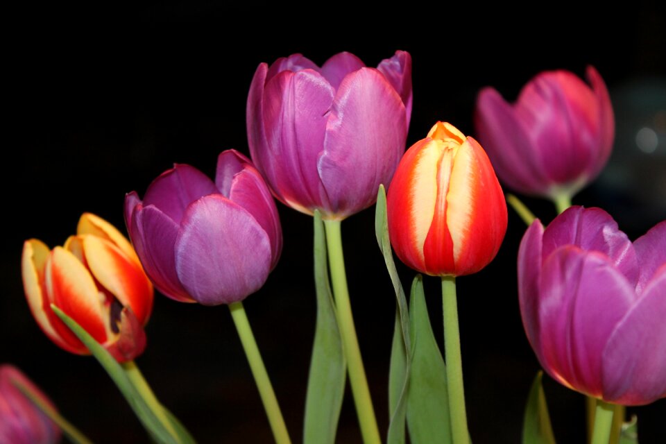 Bouquet spring colorful