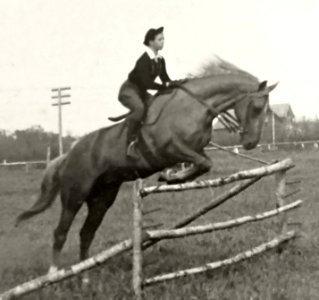 Eva Ring riding her horse over a fence photo