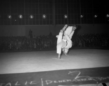 Europese judokampioenschappen in de Apollohal, Anton Geesink verslaat de Oostenr, Bestanddeelnr 911-2554