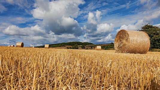 Round bales agriculture cereals