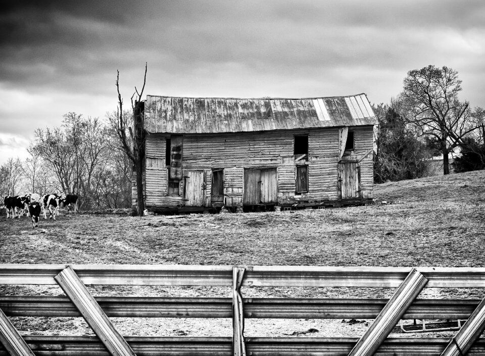 Rural landscape barn