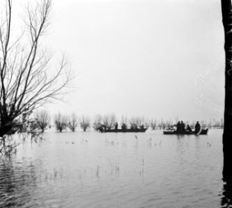 Evacuees worden per roeiboot uit Tholen in Halsteren binnengebracht, Bestanddeelnr 905-5212