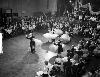 Europees danskampioenschap in Krasnapolski te Amsterdam winnend paar Smith Hamps, Bestanddeelnr 910-8369