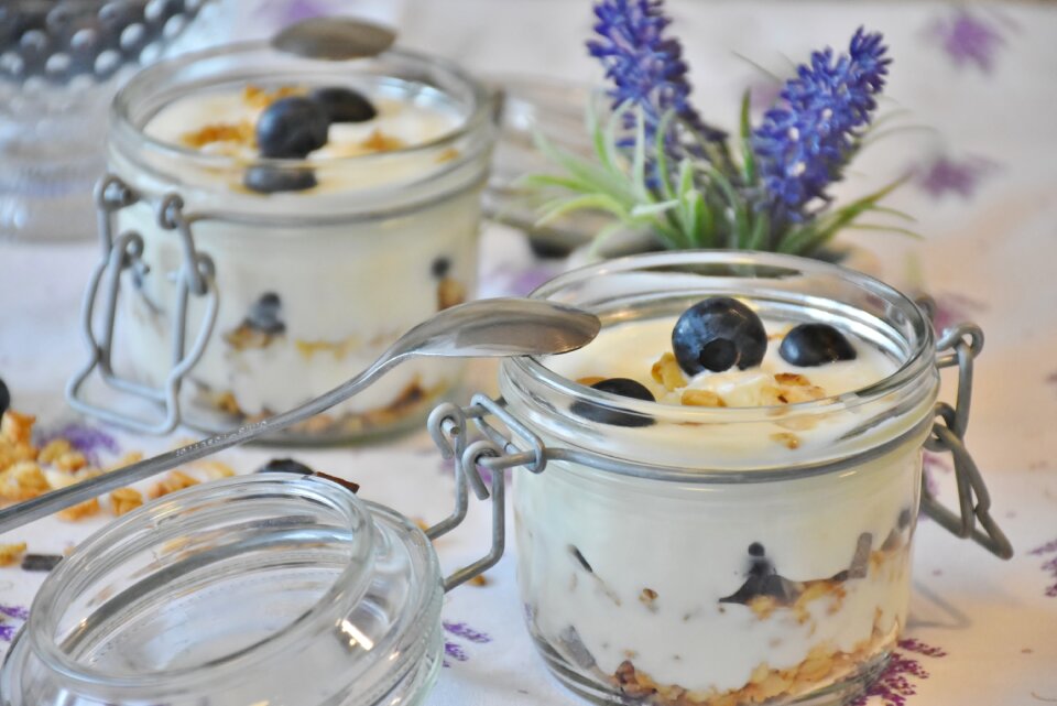 Dessert milk food
