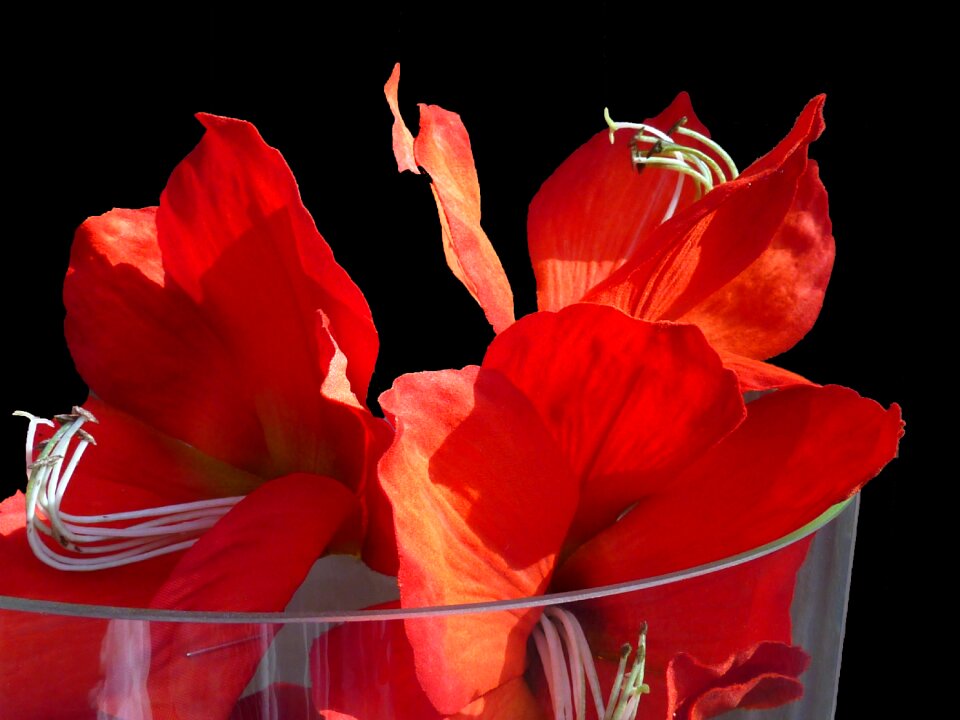Plastic flower decoration decorative