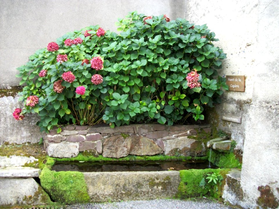 Esbareich 03