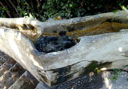 Escalera del Agua - Generalife, Granada, Spain - DSC07840