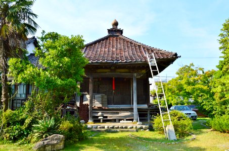Etchu Kokubunji, Yakushi-dou