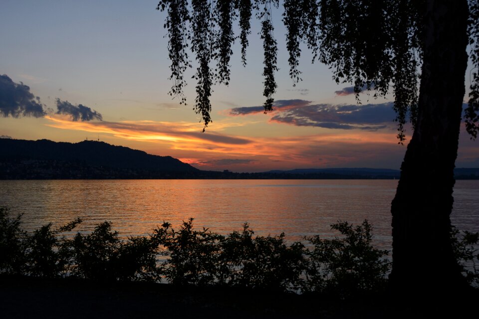 Lake zurich water abendstimmung