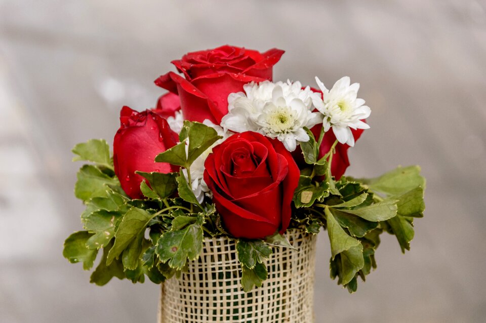 Background bouquet floral