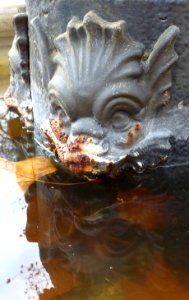 ES Eiserner Fischbrunnen Detail 2