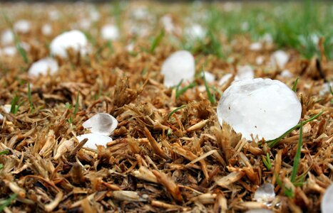 South africa hail hailstorm