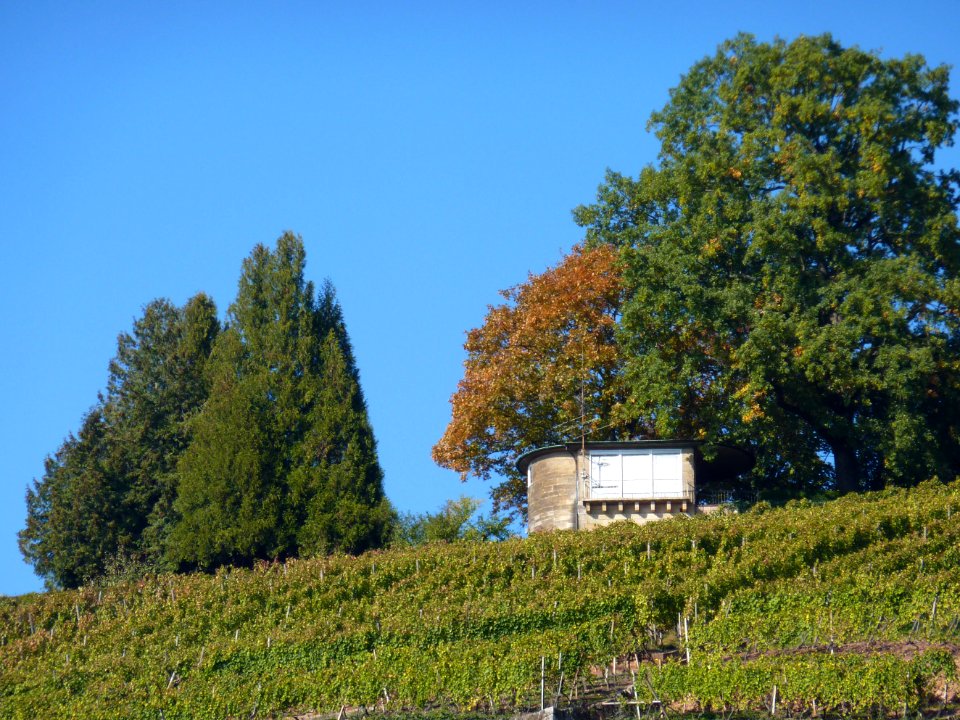 ES Weinberge Ovalhaus