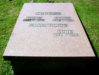 Ernst Jungen, Örgryte nya
