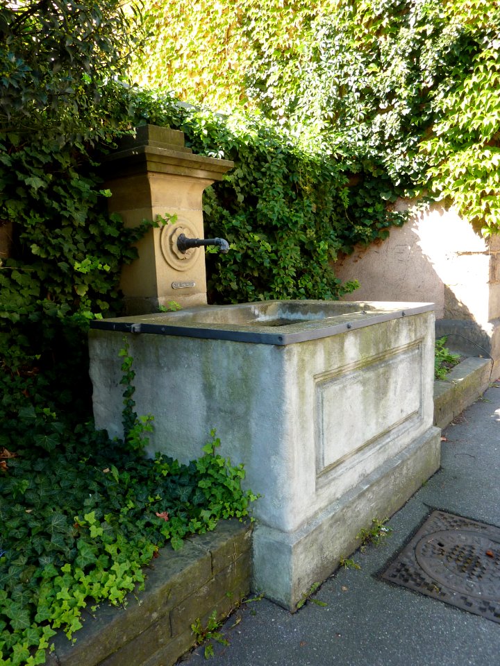 ES Herrenbrunnen