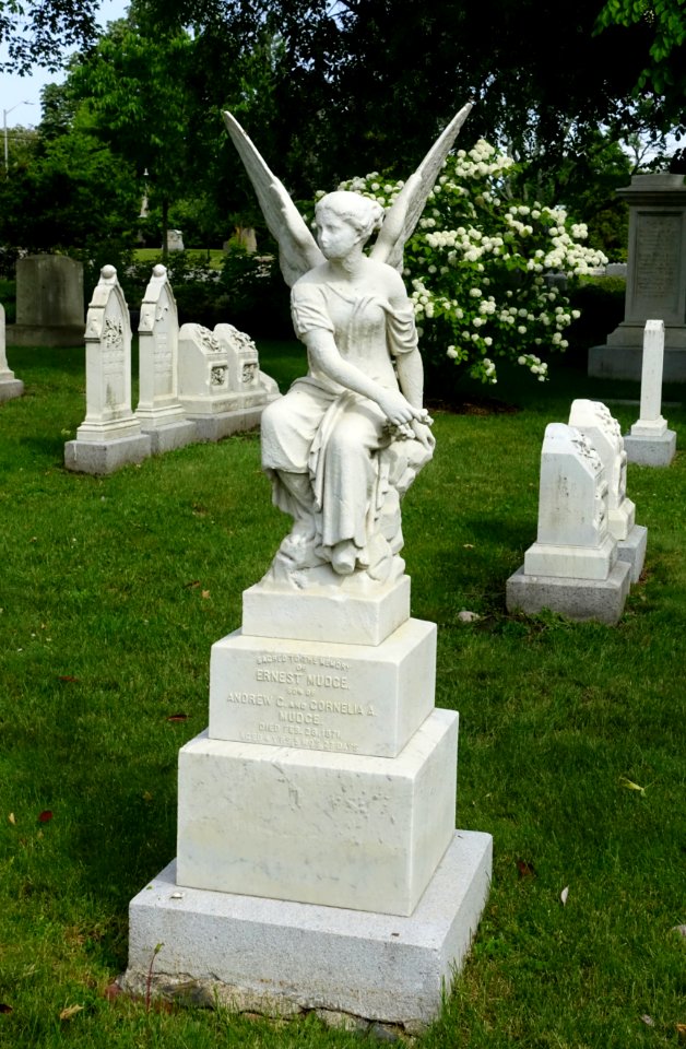 Ernest Mudge - Mount Auburn Cemetery - DSC04116