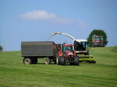 Erntemaschinen in Rammenau 07