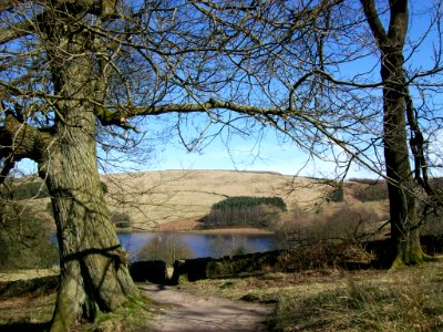 Errwood Reservoir, early spring