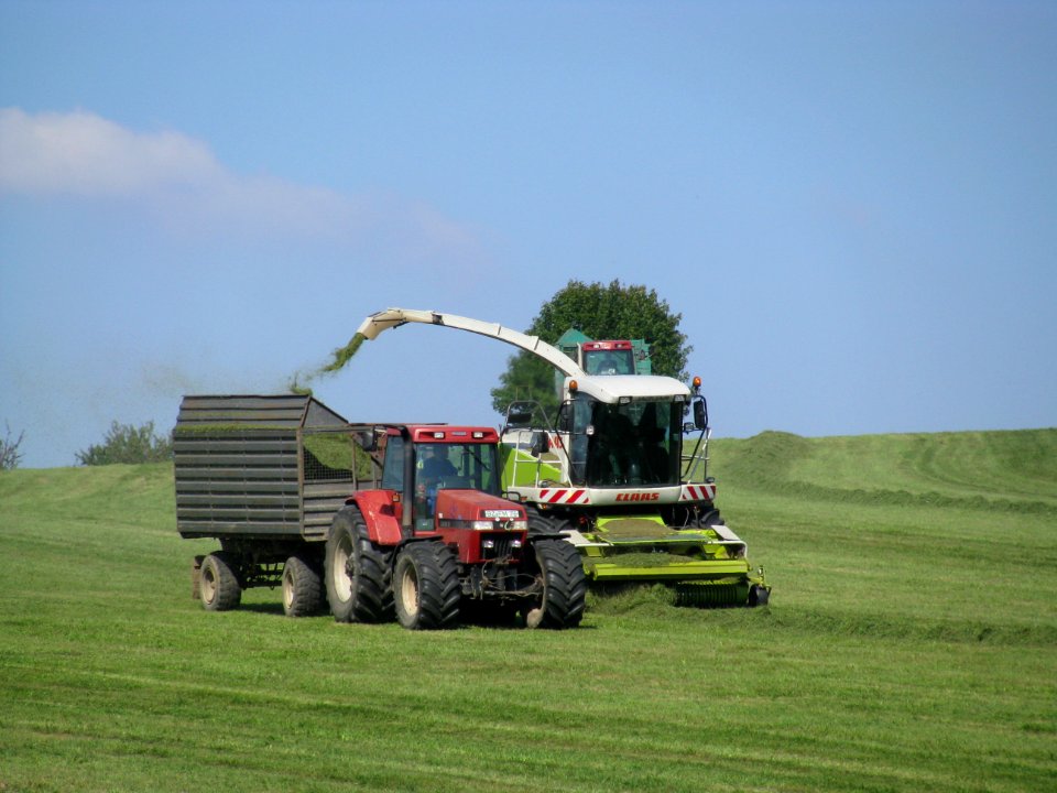Erntemaschinen in Rammenau 09
