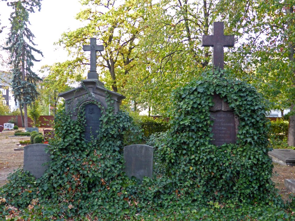 Ernst Gebhard Carl Günther Schulenburg-Wolfsburg