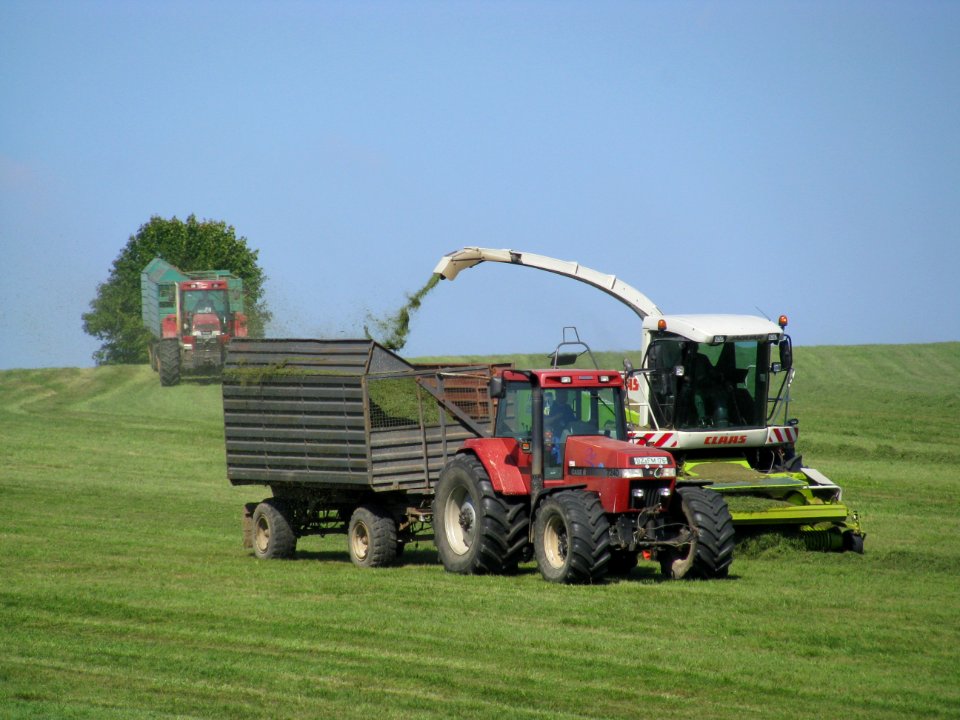 Erntemaschinen in Rammenau 13