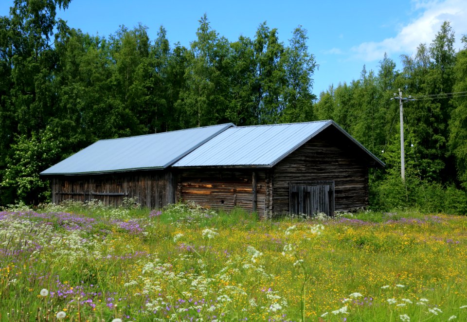 Ervastinranta Oulu 20170630