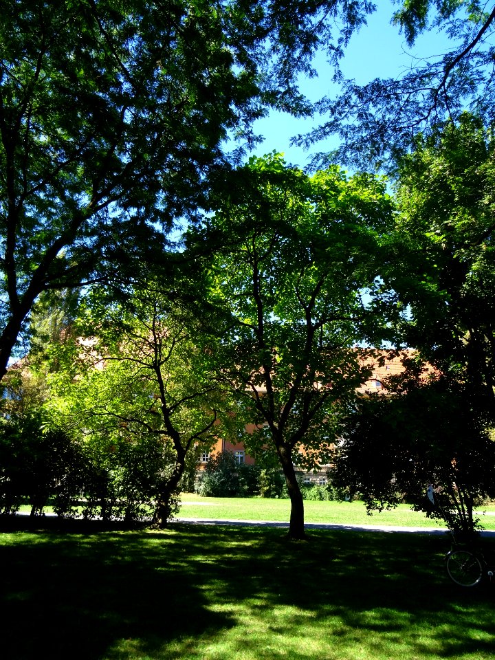 Ernst Thälmann Platz, Pirna DSC05403