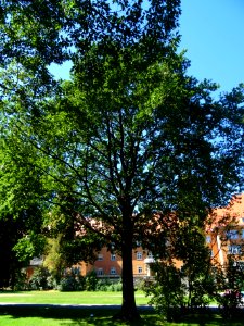 Ernst Thälmann Platz, Pirna DSC05399