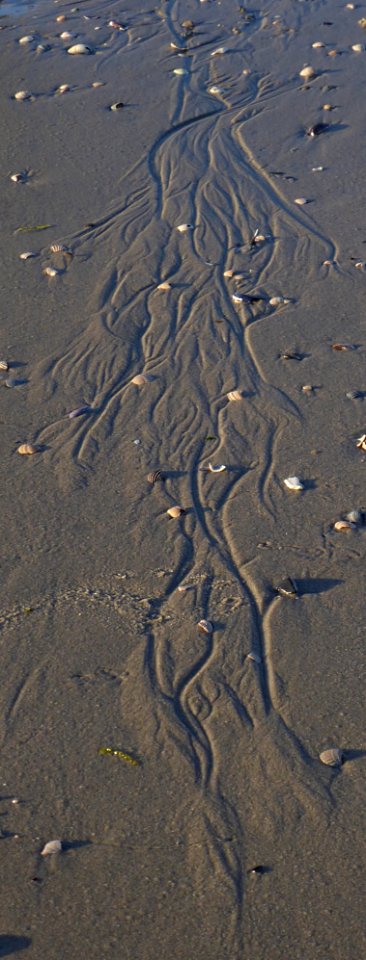 Erosionsrinnen (Millimeter, Sand)