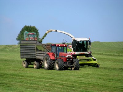 Erntemaschinen in Rammenau 12