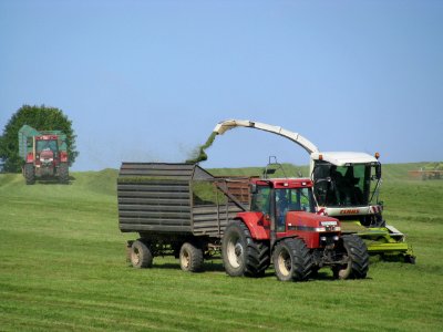 Erntemaschinen in Rammenau 14
