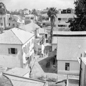 Erven tussen huizen in Tel Aviv met palmbomen en wasgoed aan de lijn, Bestanddeelnr 255-1302