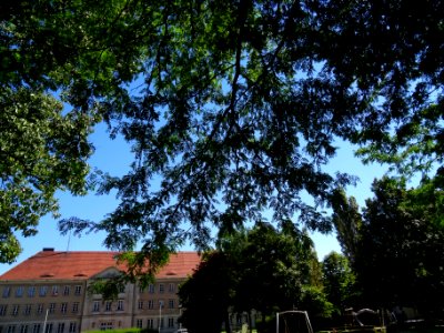 Ernst Thälmann Platz, Pirna DSC05401