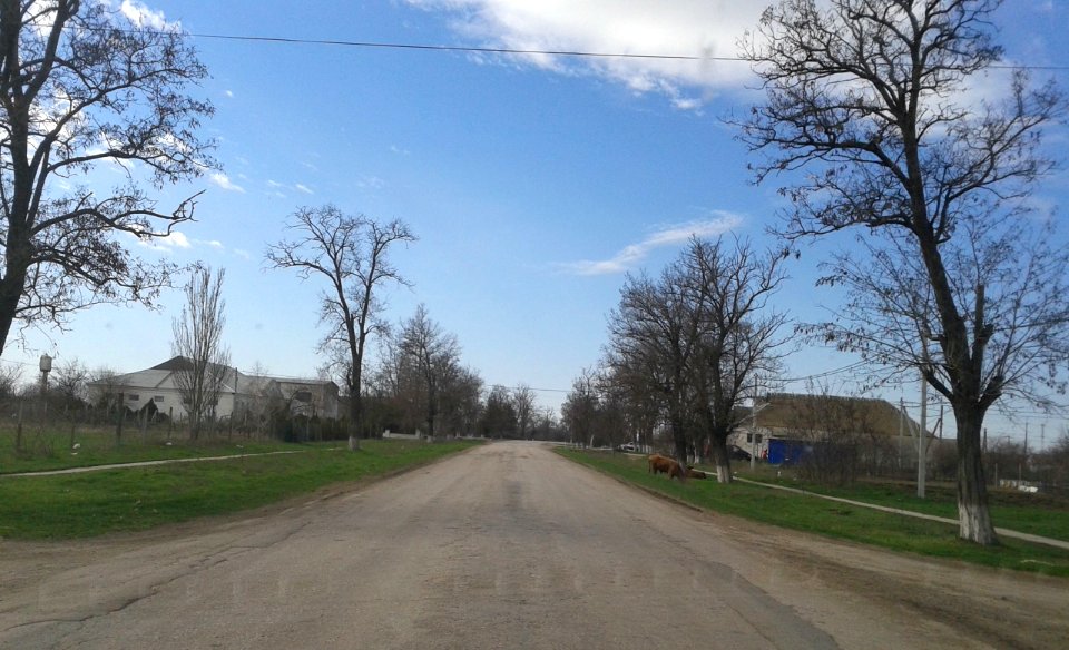 ErmakovoCr 15