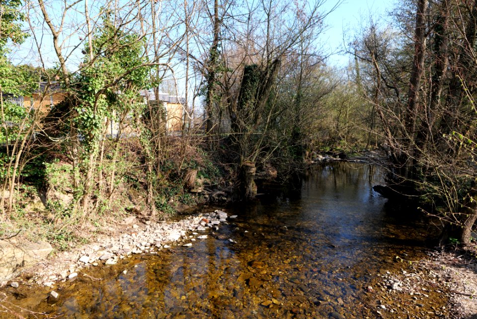Erlenbach Taunus 2021-04-02 01