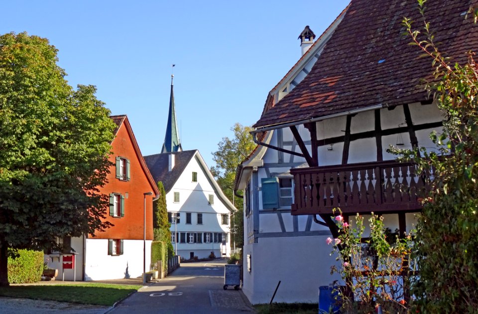 ErlenDorfkern1