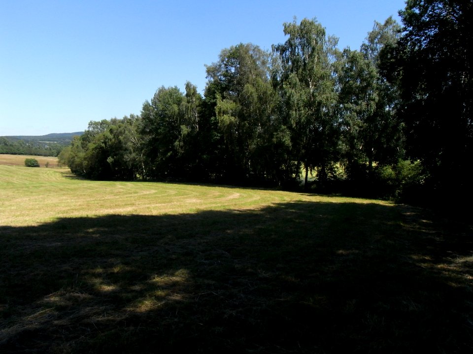 Erlenbach am Anfang R0016231