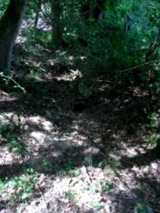 Erlenbach Beginn Auslass von jenseits Weg R0016206