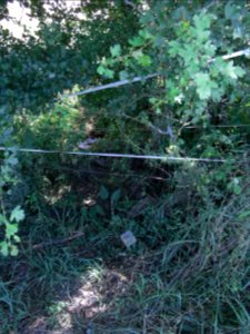 Erlenbach wieder nass mit Vermessungsmarke R0016242