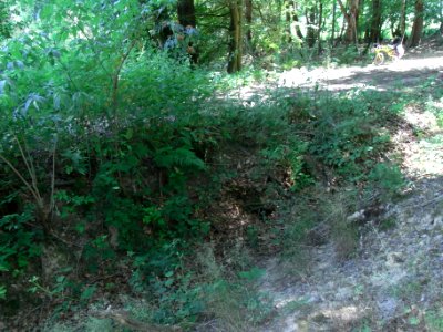 Erlenbach Beginn Einlass am Weg R0016209