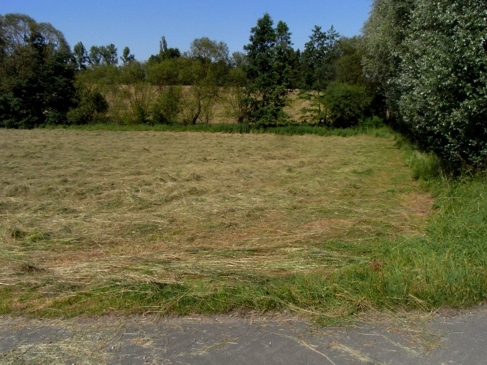 Erlenbach links ober K 728 R0015942