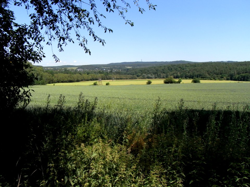 Erlenbach (Erlengraben) in Gänze R0016184