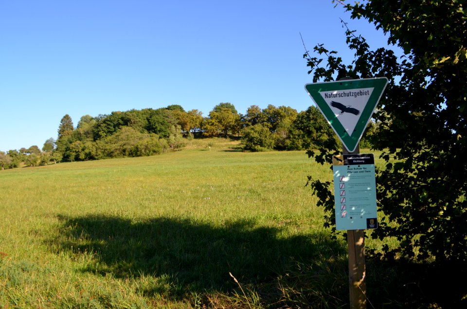 Erlaheim, Naturschutzgebiet Eichberg