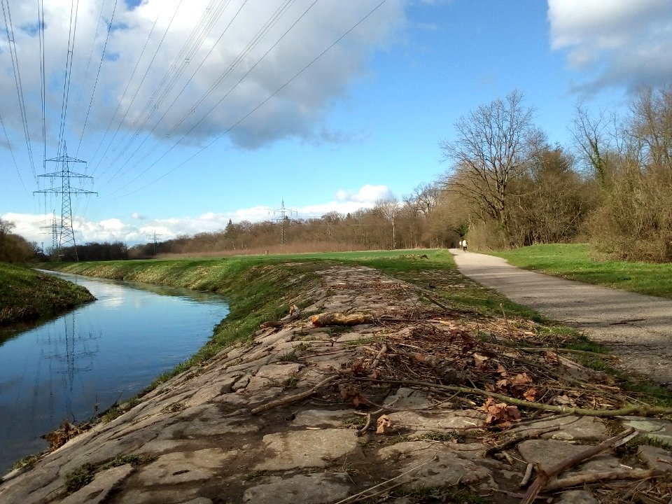 Erlengraben, Überlauf zum Oberholzgraben (3)