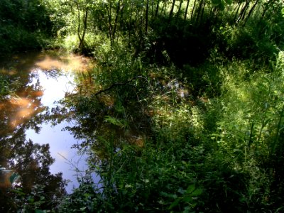 Erlengraben große Grabentasche R0015979